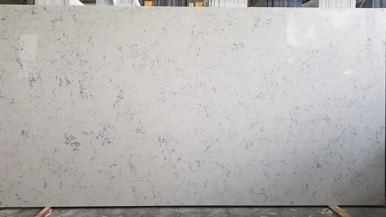 Venas Blanco (Full Slab)