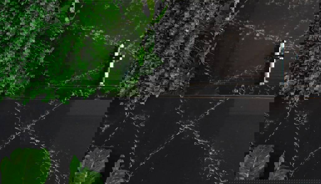 Portfolio 18 ( Arcus - Ragnatela )