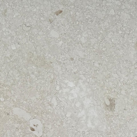 Seta